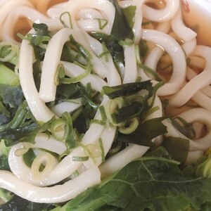 優しい味の柔らかわかめうどん